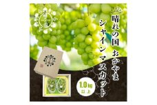 岡山県産 シャインマスカット 1kg以上（2～3房）＜2025年9月上旬～10月下旬発送＞ | フルーツ 果物 くだもの シャインマスカット マスカット 岡山 岡山県産 国産 ギフト 贈答用 プレゼント シャインマスカット マスカット おすすめ 人気 シャインマスカット マスカット