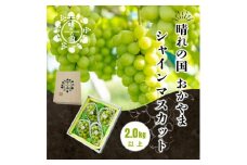 岡山県産 シャインマスカット 2kg以上（3～4房）＜2025年9月上旬～10月下旬発送＞ | フルーツ 果物 くだもの シャインマスカット マスカット 岡山 岡山県産 国産 ギフト 贈答用 プレゼント シャインマスカット マスカット おすすめ 人気 シャインマスカット マスカット