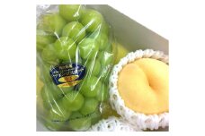 岡山県産フルーツ詰め合わせ（シャインマスカット１房、桃1個入） | フルーツ 果物 くだもの シャインマスカット マスカット 桃 モモ もも 詰め合わせ セット フルーツ詰め合わせ 岡山 岡山県産 国産 ギフト プレゼント 贈答用 果物 果物セット フルーツセット シャインマスカット 桃 モモ もも