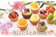 春のみにたるとアソート 9個入り＜フレッシュタルトのお店STYLE＞