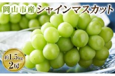 ぶどう 2025年 先行予約 シャインマスカット 2房（約1.5kg） ブドウ 葡萄 岡山市産 国産 フルーツ 果物 ギフトタンポポ農園 | フルーツ 果物 くだもの ぶどう ブドウ シャインマスカット 国産 岡山県産 食品 人気 おすすめ 先行予約 送料無料 ギフト 贈り物 贈答品 プレゼント 果物 くだもの フルーツ ぶどう ブドウ シャインマスカット