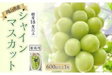 ぶどう 2025年 先行予約 糖度18度以上 岡山県産 シャインマスカット 600g以上 1房 家庭用＜9月以降発送＞ | フルーツ 果物 くだもの シャインマスカット マスカット 葡萄 ぶどう ブドウ ご家庭用 岡山県産 シャインマスカット マスカット フルーツ 果物 くだもの シャインマスカット