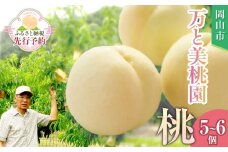 【先行予約】ふるさと納税 岡山市 桃 5~6個 瀬戸町 万と美桃園　