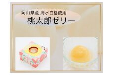 岡山県産清水白桃使用『桃太郎ゼリー』9個入り