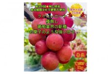 ぶどう 2025年 先行予約 クイーンニーナ 秀品 粒だけ 約1kg 岡山 国産 果物 フルーツ  2025年8月上旬から発送