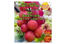 ぶどう 2025年 先行予約 クイーンニーナ 秀品 粒だけ 約2kg 岡山 国産 果物 フルーツ  2025年8月上旬から発送