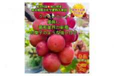 ぶどう 2025年 クイーンニーナ 秀品 粒だけ 約2kg 岡山 国産 果物 フルーツ  2025年8月上旬から発送