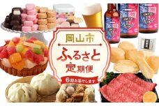 【定期便6回】岡山市の特産品を毎月お届けします （お肉・お酒・スイーツ・アイス・肉まん）