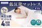 日本製 体圧分散マットレス メディカルスリーパー ダブルサイズ
