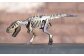 恐竜 鉄製 オブジェ ティラノサウルス S model