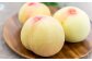 倉敷の白桃 7～8玉 約2kg 