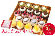 みにたると20個セット【ケーキ タルト フルーツ スイーツ フルーツタルト 人気スイーツ 人気タルト 岡山県 倉敷市 おすすめ 人気】
