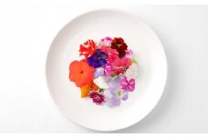 エディブルフラワー 生花MIX（20輪入り）5パックセット【食べられるお花 栽培期間中 農薬不使用】