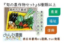 【思いやり型返礼品】倉敷市真備町みんな農園旬の農産物セット【農産物 野菜 農園 新鮮 畑 やさい 美味しい おいしい 真備町 岡山県 倉敷市 おすすめ 人気】