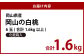 岡山県産　白桃6玉（1.6kg以上）