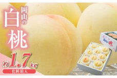 【先行予約】岡山県産　白桃8玉（1.7kg以上）化粧箱入り【2025年7月上旬-8月上旬 発送予定】【もも 桃 白桃 果物 フルーツ 国産 人気 おすすめ 岡山県 倉敷市】
