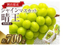【先行予約】岡山県産 シャインマスカット 『晴王』 1房 700g以上 化粧箱入り【2025年8月下旬-10月上旬 発送予定】【シャインマスカット 果物 フルーツ 国産 人気 おすすめ 岡山県 倉敷市】