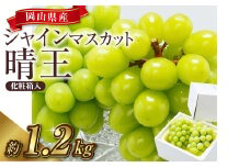 【先行予約】岡山県産 シャインマスカット 『晴王』 2房（1房600g以上）化粧箱入り【2025年8月下旬-10月上旬 発送予定】【シャインマスカット フルーツ 国産 人気 おすすめ 岡山県 倉敷市】