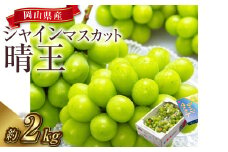 【先行予約】岡山県産 シャインマスカット 『晴王』 4房（1房480g以上）約2kg【2025年8月下旬-10月上旬 発送予定】【シャインマスカット 果物 フルーツ 国産 人気 おすすめ 岡山県 倉敷市】