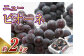 岡山県産 ニューピオーネ  4房