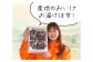 岡山県産 ニューピオーネ  4房