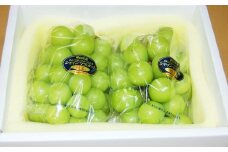 【加温栽培（晴王）】岡山県産シャインマスカットつる付き1房入り（1房680ｇ以上）【2025年7月上旬-8月上旬 発送予定】【シャインマスカット シャイン マスカット 人気フルーツ 岡山フルーツ おすすめフルーツ 岡山県 倉敷市】