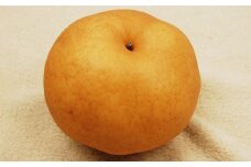 あたご梨約4kg 3～6玉入【2025年11月下旬-12月下旬 発送予定】【梨 なし 果物 フルーツ 国産 人気 おすすめ 岡山県 倉敷市】