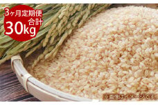 【3ヵ月定期便】3回連続 岡山県倉敷市産 きぬむすめ  10kg 玄米 計30kg【2025年10月より1回目発送開始】