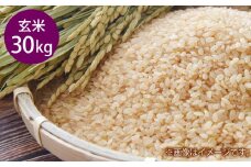 令和7年産 岡山県倉敷市産 きぬむすめ 玄米 30kg【2025年10月上旬より発送開始】