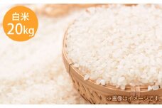 令和7年度産 岡山県倉敷市産 きぬむすめ 白米 20kg【2025年10月上旬より発送開始】