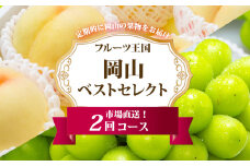 ［2025年先行予約］ 岡山県産 果物定期便 2回コース【2025年7月上旬-8月下旬 発送予定】【もも 桃 シャインマスカット 果物 フルーツ 国産 人気 おすすめ 岡山県 倉敷市】