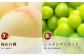 ［2025年先行予約］ 岡山県産 果物定期便 2回コース