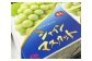 シャインマスカット【晴王】2kg 3房～5房入り