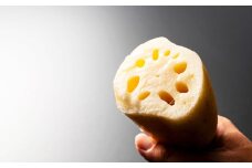 連島れんこん 家庭用 1節もの 5kg 【2025年9月上旬-2026年4月下旬 発送予定】