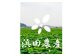 連島れんこん 贈答用 1本もの 5kg