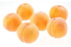 黄金桃（ご家庭用）6～9玉入り【2025年8月下旬-9月上旬 発送予定】【もも 桃 果物 フルーツ 国産 人気 おすすめ 岡山県 倉敷市】