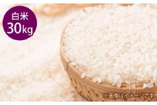 令和7年度産  きぬむすめ 白米 30kg　岡山県倉敷市産【お米 米 きぬむすめ 白米 国産 岡山県 倉敷市 人気 おすすめ】【2025年10月上旬より発送開始】