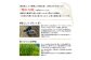 きぬむすめ 白米 30kg　岡山県倉敷市産