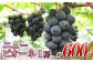 ニュー ピオーネ 1房（1房 600g前後）