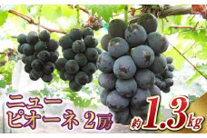 ニュー ピオーネ 2房（1房 650g前後）【2025年7月下旬～9月上旬 発送予定】【産地直送 岡山県産 国産 ニューピオーネ ブドウ 葡萄 ぶどう 果物 ギフト たけまさぶどう園 人気フルーツ 岡山フルーツ おすすめフルーツ 岡山県 倉敷市 おすすめ 人気】