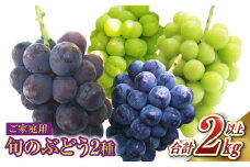 ご家庭用 旬のぶどう 2種（合計2kg以上）【2025年8月下旬～10月下旬 発送予定】【産地直送 岡山県産 国産 シャインマスカット ニューピオーネ ブドウ 葡萄 ぶどう 果物 ギフト たけまさぶどう園 人気フルーツ 岡山フルーツ おすすめフルーツ 岡山県 倉敷市 おすすめ 人気】