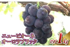 ニュー ピオーネ 1房・オーロラブラック 1房（1房 500g前後）【2025年8月下旬～9月下旬 発送予定】【産地直送 岡山県産 国産 ニューピオーネ ブドウ 葡萄 ぶどう 果物 ギフト たけまさぶどう園 人気フルーツ 岡山フルーツ おすすめフルーツ 岡山県 倉敷市 おすすめ 人気】