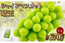 シャインマスカット晴王1房（670g）【2025年9月上旬-10月下旬 発送予定】【岡山県産 種無し 皮ごと食べる みずみずしい 甘い フレッシュ 瀬戸内 晴れの国 おかやま 果物大国 ハレノフルーツ 岡山県 倉敷市 おすすめ 人気】