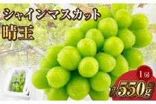 岡山県産 シャインマスカット 晴王 1房 約550g【2025年9月上旬-10月下旬 発送予定】｜種無し 皮ごと食べる フレッシュ 先行受付 ハレノフルーツ