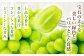 岡山県産 シャインマスカット 晴王 1房 約550g