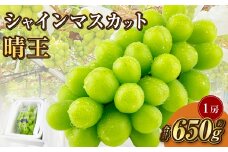 岡山県産 シャインマスカット 晴王 1房 約650g【2025年9月上旬-10月下旬 発送予定】｜種無し 皮ごと食べる フレッシュ 先行予約 ハレノフルーツ