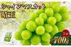 岡山県産 シャインマスカット 晴王 1房 約700g【2025年9月上旬-10月下旬 発送予定】｜種無し 皮ごと食べる フレッシュ 先行予約 ハレノフルーツ