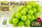 岡山県産 シャインマスカット 晴王 1房 約700g