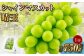 岡山県産 シャインマスカット 晴王 1房 約750g