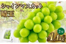 岡山県産 シャインマスカット 晴王 2房 約1.4kg【2025年9月上旬-10月下旬 発送予定】｜種無し 皮ごと食べる 旬の美味しさ フレッシュ 先行予約 ハレノフルーツ